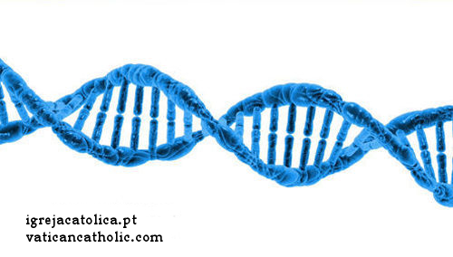 A precisa disposição das bases na molécula de ADN é em si mesma necessária para a formação de proteínas.
