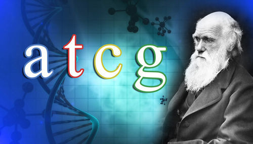 O ADN refuta a Teoria da Evolução